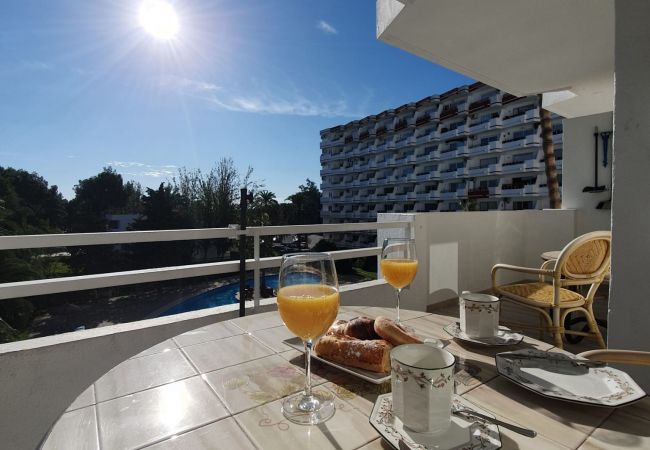 Apartamento en Alcúdia - Siesta 233 - Alcudia - Mallorca Apartamento en Alcúdia - Siesta 233 - Alcudia - Mallorca