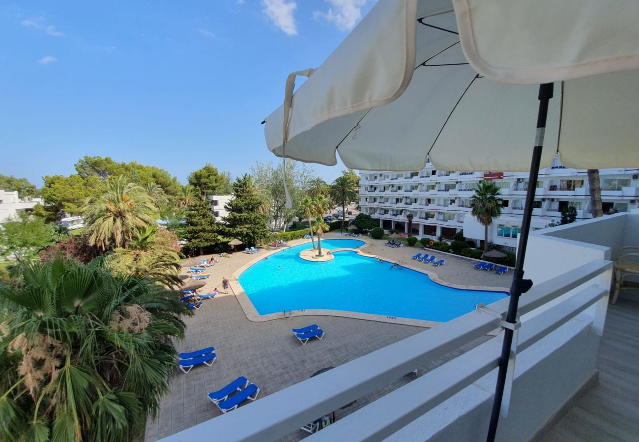 Apartamento en Alcúdia - Siesta 233 - Alcudia - Mallorca Apartamento en Alcúdia - Siesta 233 - Alcudia - Mallorca