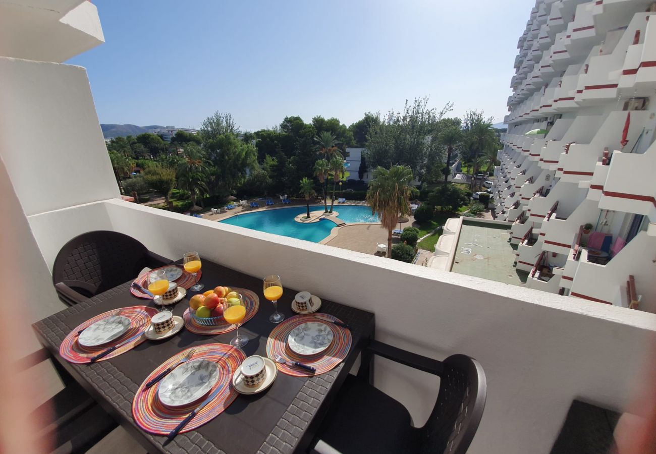 Apartamento en Alcúdia - Siesta 327 - Alcudia - Mallorca Apartamento en Alcúdia - Siesta 327 - Alcudia - Mallorca