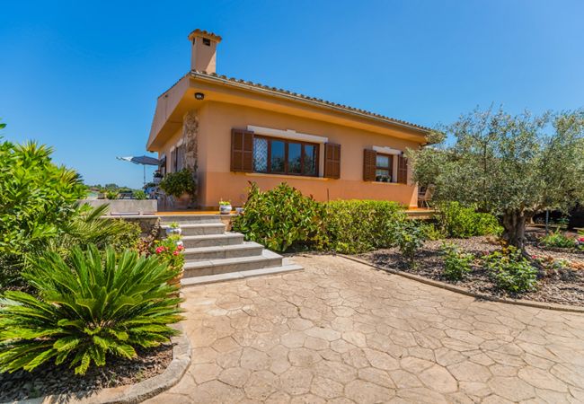 Finca en Santa Eugenia - Finca Es Viola Santa Eugenia - Tu Finca Mallorca Finca en Santa Eugenia - Finca Es Viola Santa Eugenia - Tu Finca Mallorca