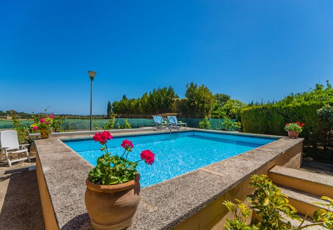 Finca en Santa Eugenia - Finca Es Viola Santa Eugenia - Tu Finca Mallorca Finca en Santa Eugenia - Finca Es Viola Santa Eugenia - Tu Finca Mallorca