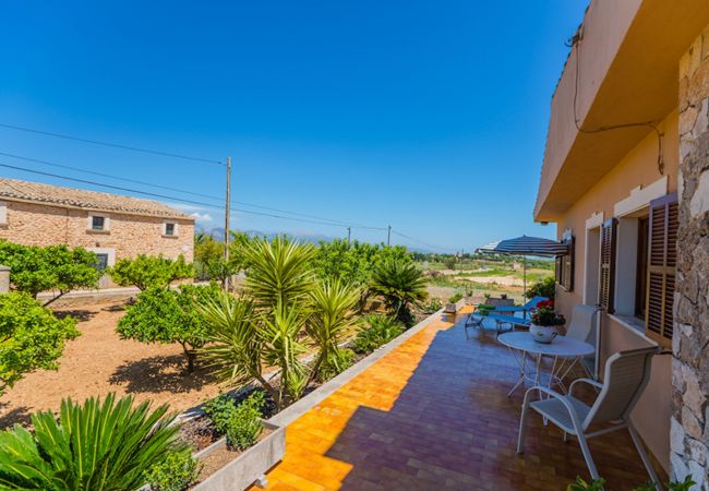 Finca en Santa Eugenia - Finca Es Viola Santa Eugenia - Tu Finca Mallorca Finca en Santa Eugenia - Finca Es Viola Santa Eugenia - Tu Finca Mallorca