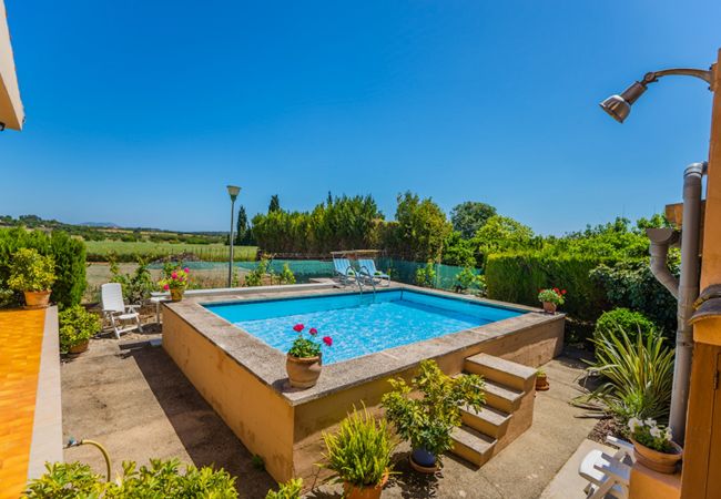 Finca en Santa Eugenia - Finca Es Viola Santa Eugenia - Tu Finca Mallorca Finca en Santa Eugenia - Finca Es Viola Santa Eugenia - Tu Finca Mallorca