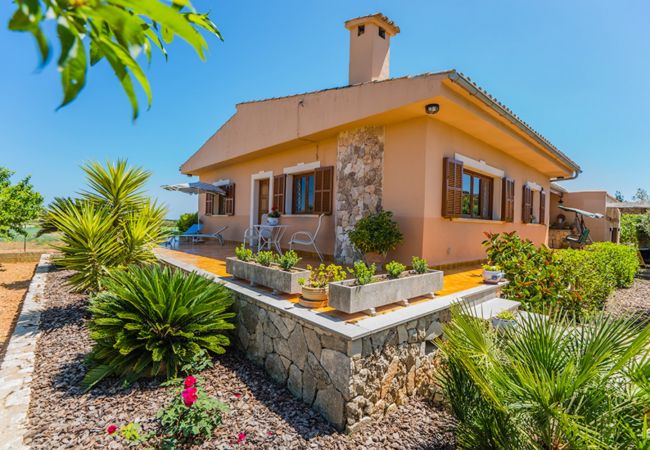 Finca en Santa Eugenia - Finca Es Viola Santa Eugenia - Tu Finca Mallorca Finca en Santa Eugenia - Finca Es Viola Santa Eugenia - Tu Finca Mallorca