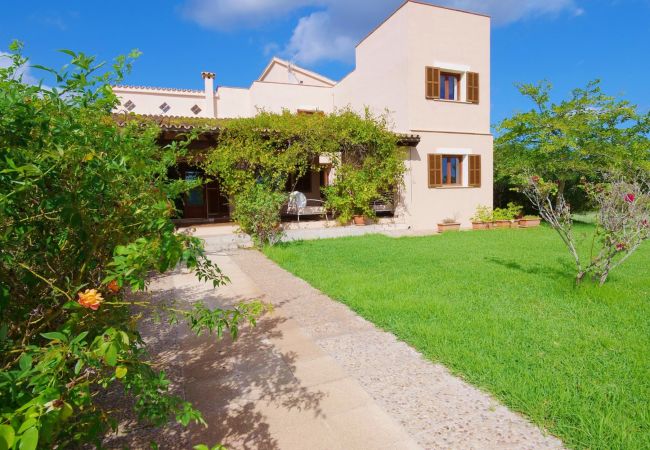 Finca en Son Servera - Vora Pula Golf II - Son Servera - Mallorca Finca en Son Servera - Vora Pula Golf II - Son Servera - Mallorca