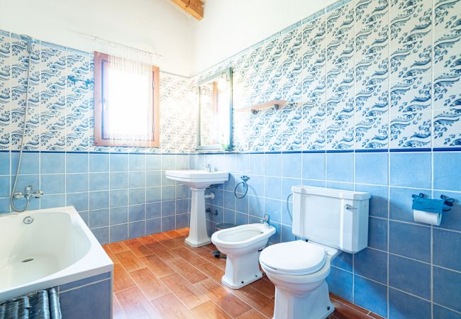 Finca en Arta - Finca Can Canals - Arta - Tu Finca Mallorca Finca en Arta - Finca Can Canals - Arta - Tu Finca Mallorca