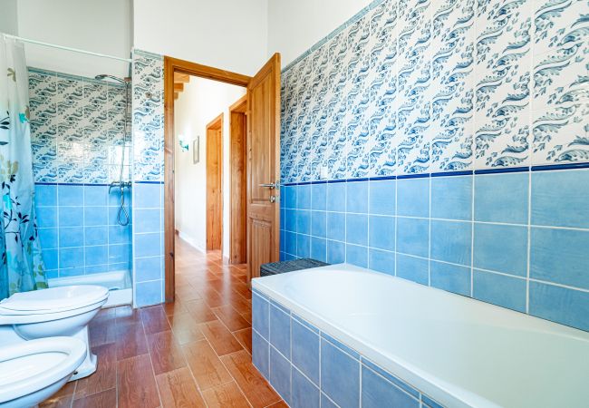 Finca en Arta - Finca Can Canals - Arta - Tu Finca Mallorca Finca en Arta - Finca Can Canals - Arta - Tu Finca Mallorca