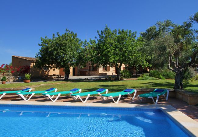 Finca en Porto Cristo - Can Moleta - Porto Cristo - Mallorca Finca en Porto Cristo - Can Moleta - Porto Cristo - Mallorca