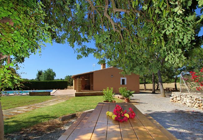 Finca en Porto Cristo - Can Moleta - Porto Cristo - Mallorca Finca en Porto Cristo - Can Moleta - Porto Cristo - Mallorca