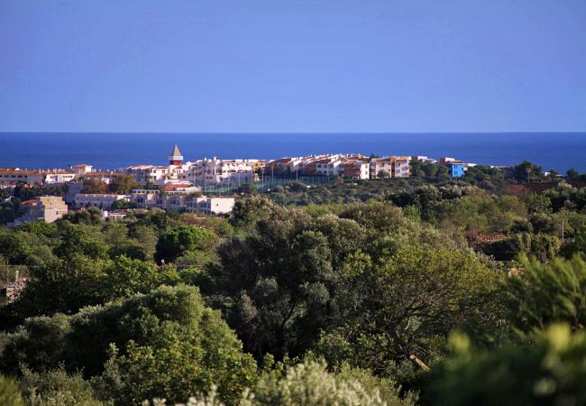 Finca en Porto Cristo - Finca Vista Alegre - Porto Cristo - Mallorca Finca en Porto Cristo - Finca Vista Alegre - Porto Cristo - Mallorca