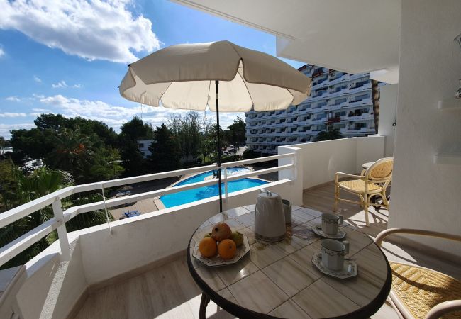 Ferienwohnung in Alcudia - Siesta 233 - Alcudia - Mallorca Ferienwohnung in Alcudia - Siesta 233 - Alcudia - Mallorca