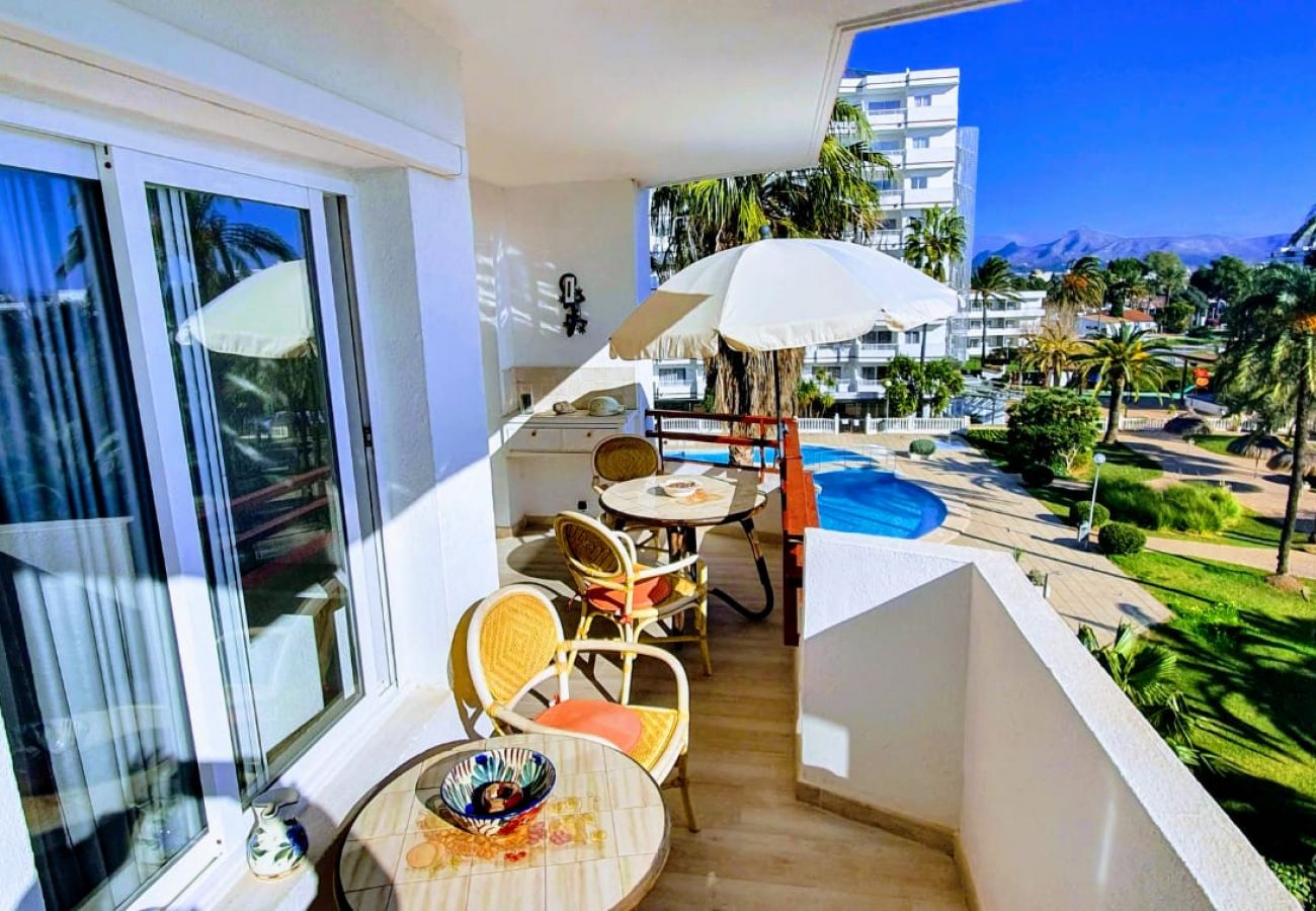 Ferienwohnung in Alcudia - Siesta 233 - Alcudia - Mallorca Ferienwohnung in Alcudia - Siesta 233 - Alcudia - Mallorca