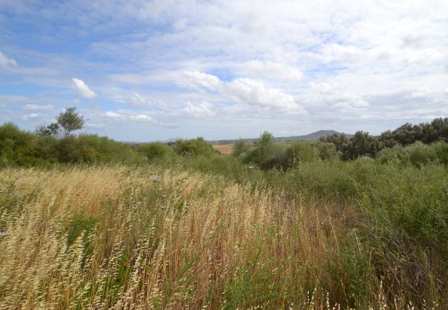 Grundstück in Sa Pobla - Ref. 417044 Grundstück in Sa Pobla - Ref. 417044