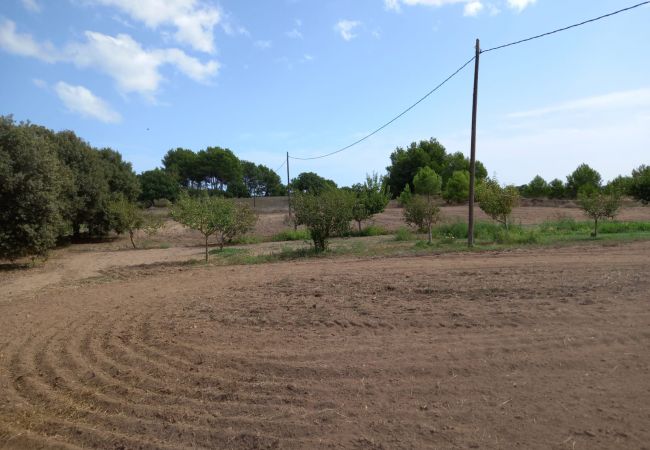 Finca in Muro - Ref. 417057 Finca in Muro - Ref. 417057