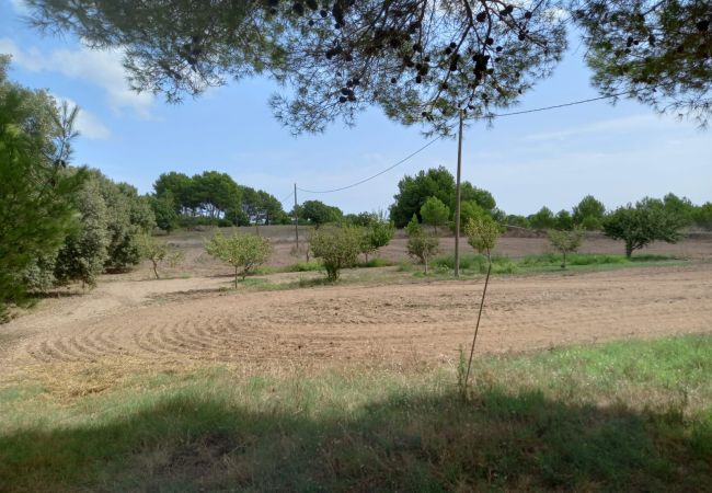 Finca in Muro - Ref. 417057 Finca in Muro - Ref. 417057