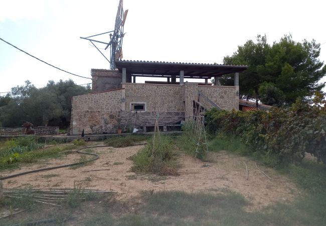 Finca in Muro - Ref. 417057 Finca in Muro - Ref. 417057