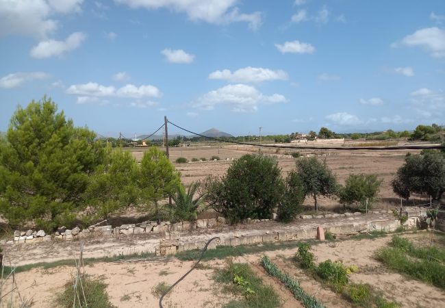 Finca in Muro - Ref. 417057 Finca in Muro - Ref. 417057