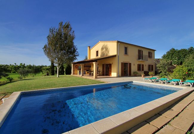 in Porto Cristo - Finca Vista Alegre - Porto Cristo - Mallorca