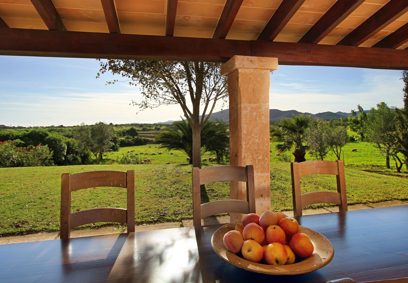 Finca in Porto Cristo - Finca Vista Alegre - Porto Cristo - Mallorca