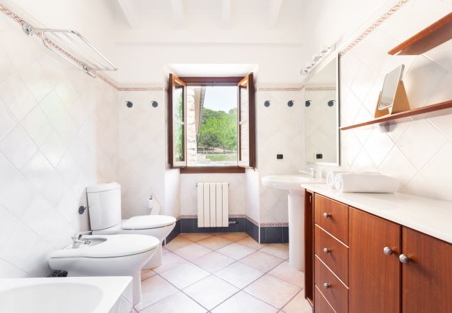 Finca in Buger - Sa Mata Grossa - Buger -Mallorca Finca in Buger - Sa Mata Grossa - Buger -Mallorca