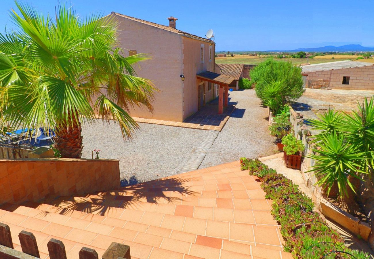 Finca in Campos - Finca Alcoraia ETV/2951 - Campos - Mallorca