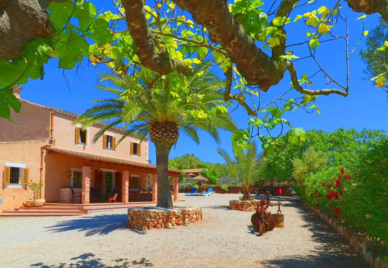 Finca in Campos - Finca Alcoraia ETV/2951 - Campos - Mallorca
