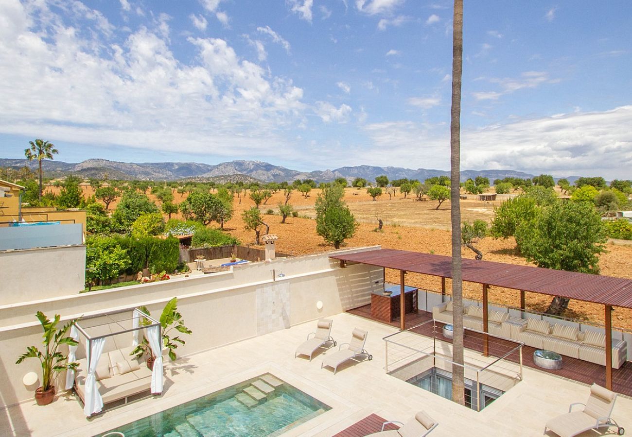 Ferienhaus in Palma  - Rainbow - Palma Establiments- Mallorca
