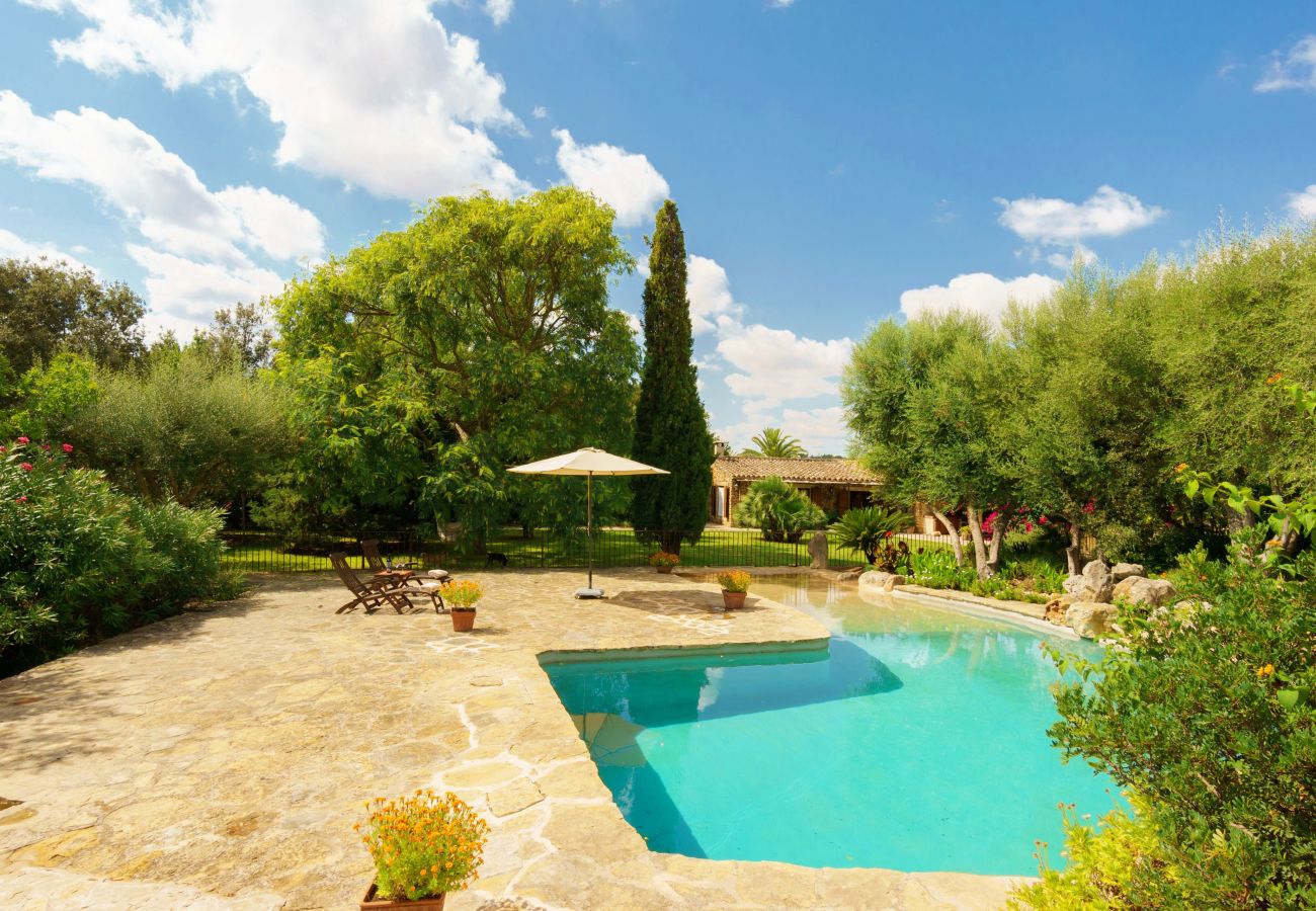 Finca in Buger - Cases de Buger - 12 Personen - Buger 