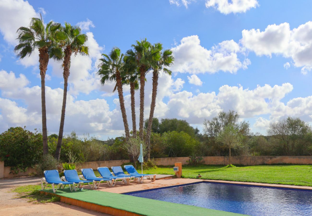 Finca in Campos - Can Toni - Campos 