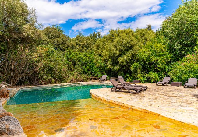 Country house in Buger - Finca Es´Sestadors - Buger - Tu Finca Mallorca Country house in Buger - Finca Es´Sestadors - Buger - Tu Finca Mallorca