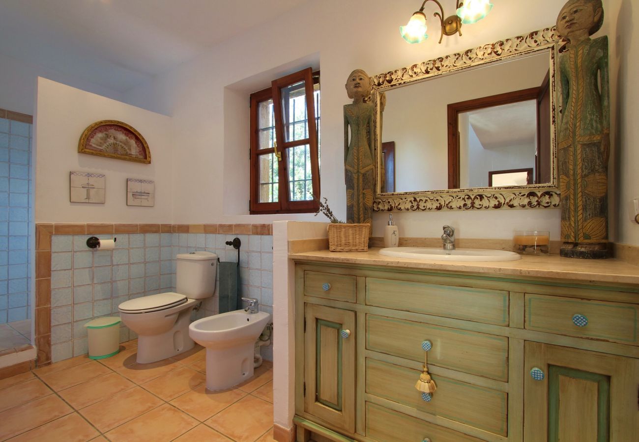 Country house in Porto Cristo - Finca Vista Alegre - Porto Cristo - Mallorca