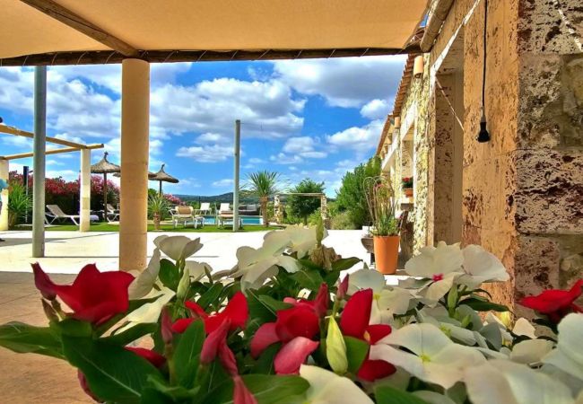 Country house in Maria de la salut - El Rincon de Maria Country house in Maria de la salut - El Rincon de Maria