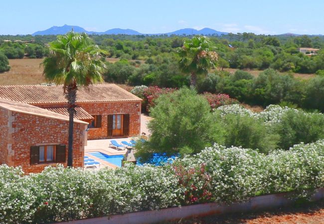 Country house in Campos - Can Mates Nou - Campos - Mallorca Country house in Campos - Can Mates Nou - Campos - Mallorca