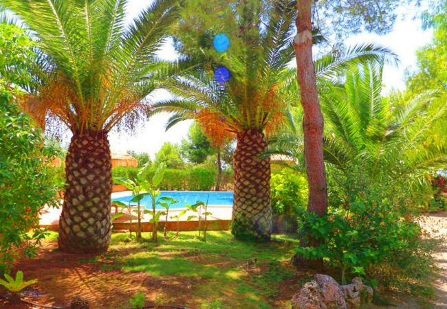 Country house in Campos - Finca Can Crestall - Campos - Mallorca Country house in Campos - Finca Can Crestall - Campos - Mallorca