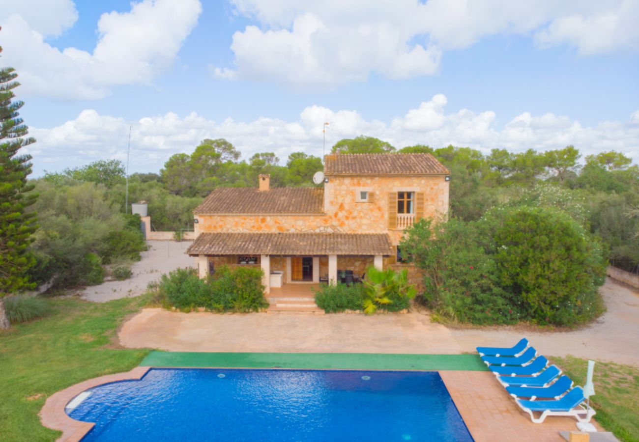 Country house in Campos - Can Toni - Campos
