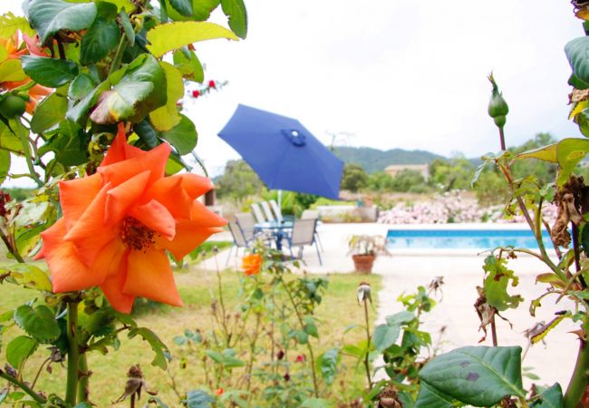 Country house in Son Servera - Ref. 404982 Country house in Son Servera - Ref. 404982