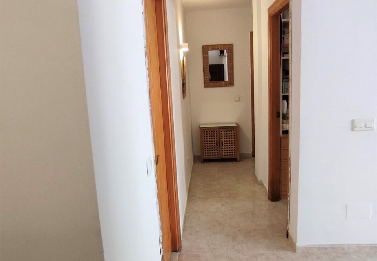 Apartment in Alcúdia - Ref. 417058 Apartment in Alcúdia - Ref. 417058