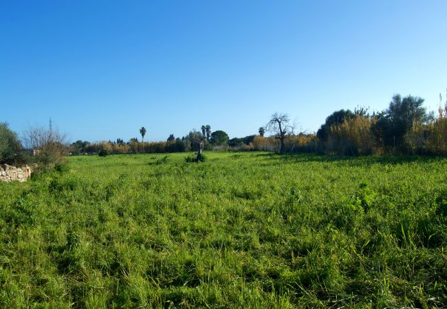 Finca en Buger - Ref. 417039 Finca en Buger - Ref. 417039