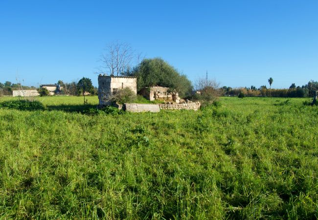 Finca en Buger - Ref. 417039 Finca en Buger - Ref. 417039