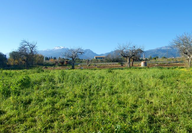 Finca en Buger - Ref. 417039 Finca en Buger - Ref. 417039