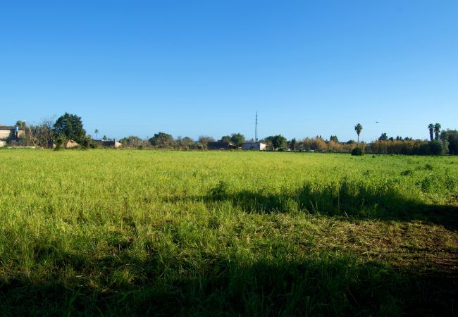 Finca en Buger - Ref. 417039 Finca en Buger - Ref. 417039