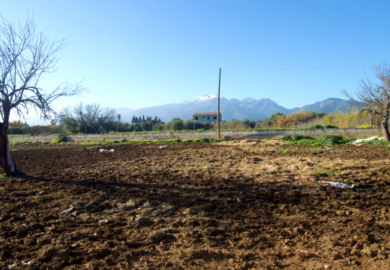 Finca en Buger - Ref. 417039 Finca en Buger - Ref. 417039