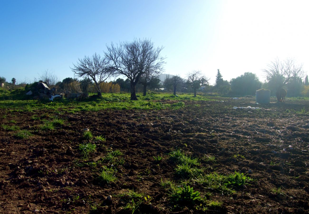 Finca en Buger - Ref. 417039 Finca en Buger - Ref. 417039