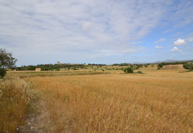 Parcela en Sa Pobla - Ref. 417044 Parcela en Sa Pobla - Ref. 417044