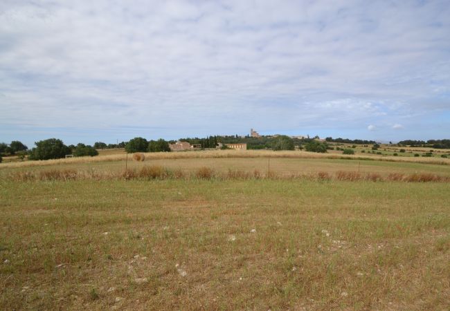 Parcela en Sa Pobla - Ref. 417044 Parcela en Sa Pobla - Ref. 417044