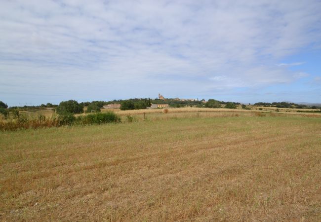 Parcela en Sa Pobla - Ref. 417044 Parcela en Sa Pobla - Ref. 417044