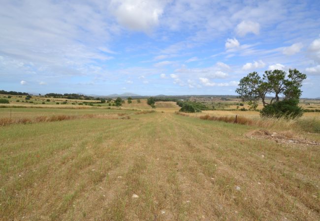 Parcela en Sa Pobla - Ref. 417044 Parcela en Sa Pobla - Ref. 417044