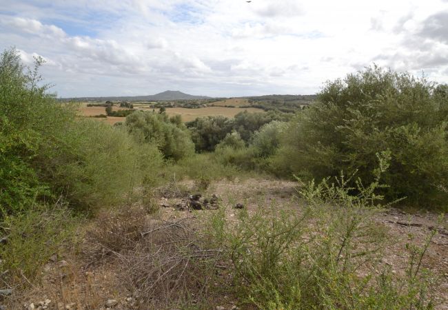 Parcela en Sa Pobla - Ref. 417044 Parcela en Sa Pobla - Ref. 417044