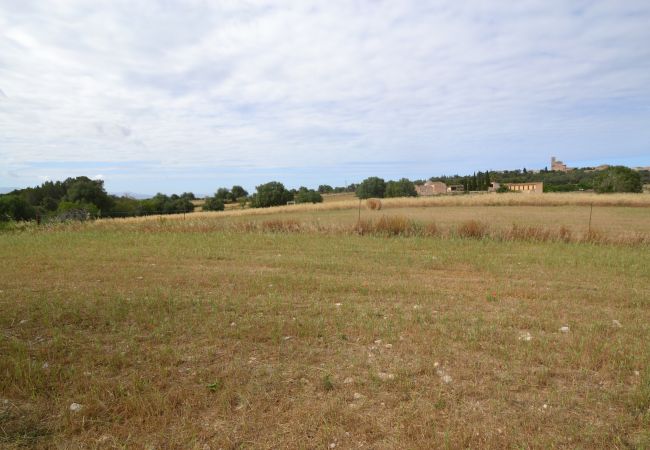 Parcela en Sa Pobla - Ref. 417044 Parcela en Sa Pobla - Ref. 417044