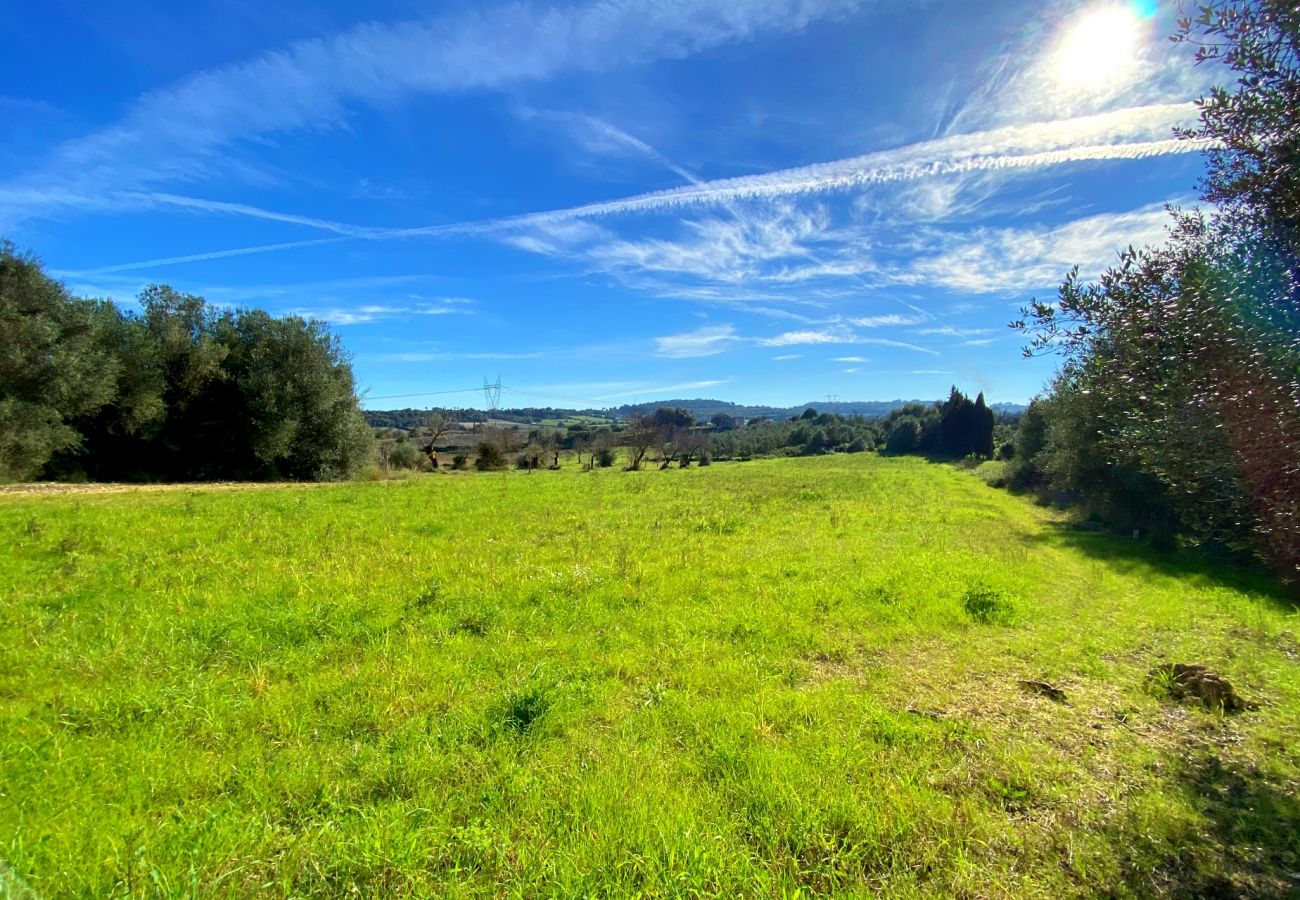 Parcela en Muro - Ref. 417056